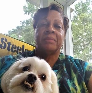 Meet your Posher, Dolores